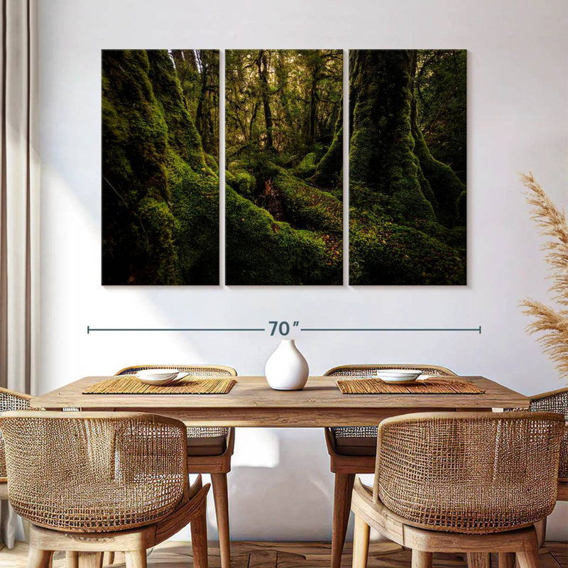 Milford Sound Rainforest