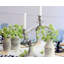 Song Bird Candelabra