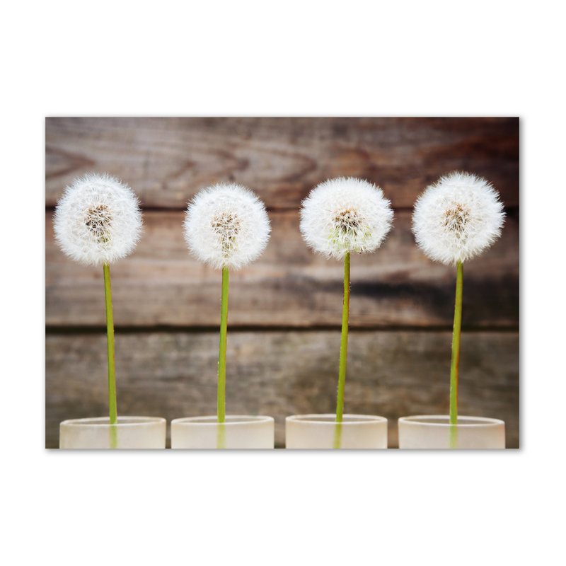 Dandelions - Wrapped Canvas Print