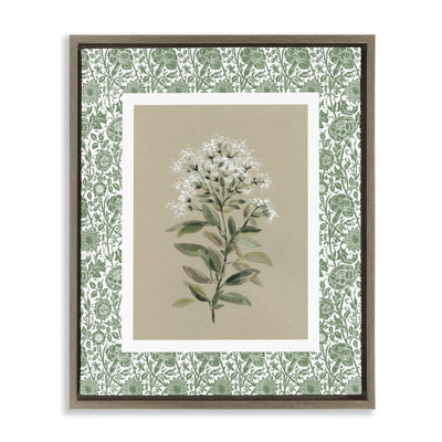 Plante sur cadre flottant botanique vert, design par Carol Robinson