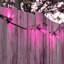 Ampoules DEL à filament omnidirectionnel rose S14, 2 W (équivalent 40 W), culot moyen (E26), lot de 2-134877023-134877025