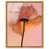 Gold Floater Frame