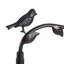 Birdsong Floor Lamp - Oil Rubbed Bronze