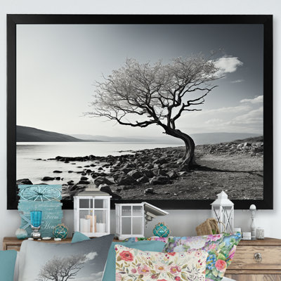 Magnifique arbre en noir et blanc, photographie de lac - art mural lac