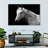 Brampt Horse Headshot-107719609