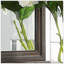 Broomfield - Commode et miroir - Brun foncé