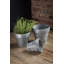 Pot de fleurs en zinc Sanjuana-685794054