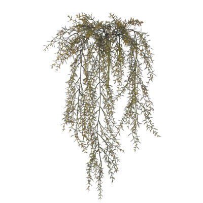 Coral Leaf Fern Arrangement