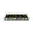 Botanicals Xray Acrylic Square Decorative Tray-120129007-121427475