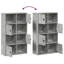 Anagnos Bookcase-572934329-741597292