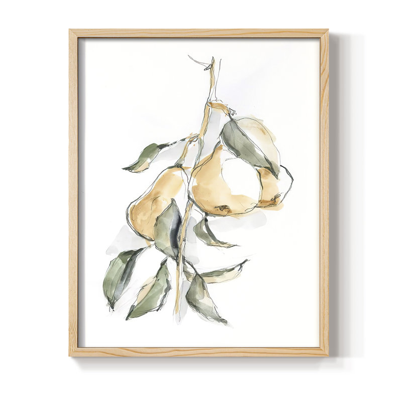 «Watercolor Fruit Contour I», reproduction encadrée - bois massif, H 11 po x l 9 po