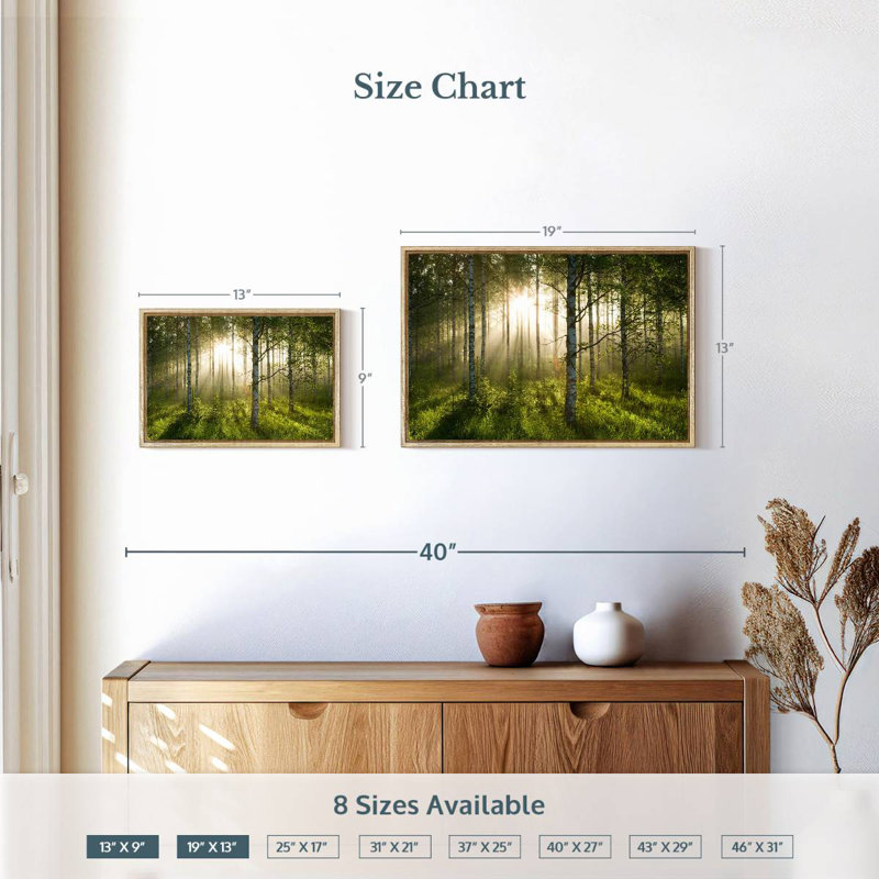 Birch Forest Sunlight, 19 po x 13 po, Cadre flottant en bois naturel