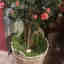 Photos des clients 3 de 3