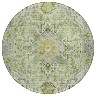 Machine Washable Indoor/Outdoor Oden ACN2163 Global Rug