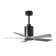 Patricia 42'' Ceiling Fan with LED Lights