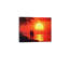 1 Piece Wrapped Canvas Wall Art
