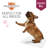 Cotton Pet Bed-72865551