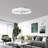 Justino 20" 6-Speed LED Dimmable Reversible Modern Caged Ceiling Fan With Light And Remote Control