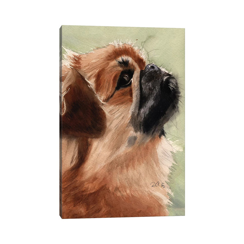Pekingese Portrait by Rachel Parker - Wrapped Canvas Gallery-Wrapped Canvas Giclée, 20.32 cm H x 30.48 cm W