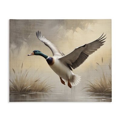 Canard colvert sur des zones humides, conception de Susan Arnot