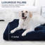Lits pour chien Eibhlis-1542043865-1542043864