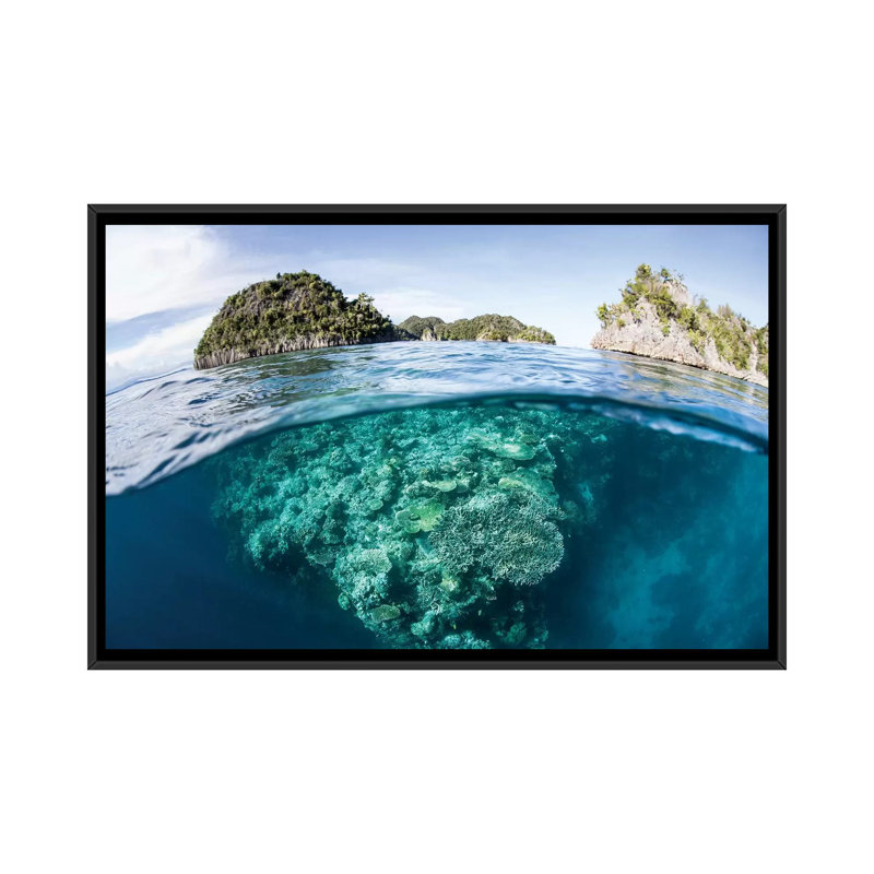« a belle corail », reproduction de photo sur toile, H 18 po x l 26 po x P 1,5 po, Toile avec cadre noir, Pas de tapis