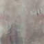 Beige And Turtledove Venetian Stucco Wallpaper