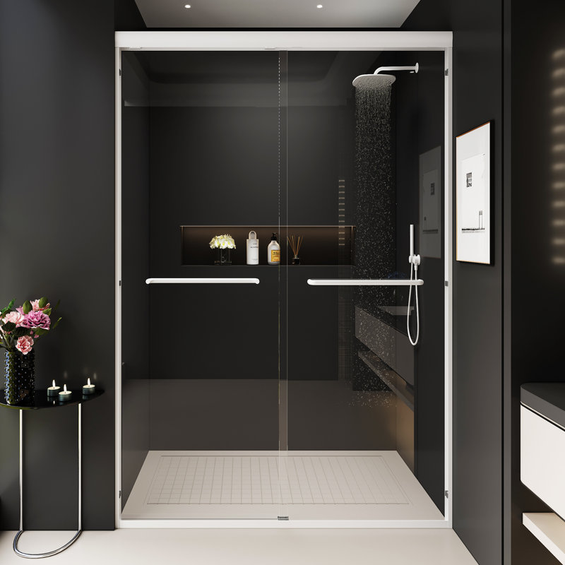 Double porte de douche coulissante, Argent argent