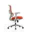 Saif Polyester Office Chair-1588257837