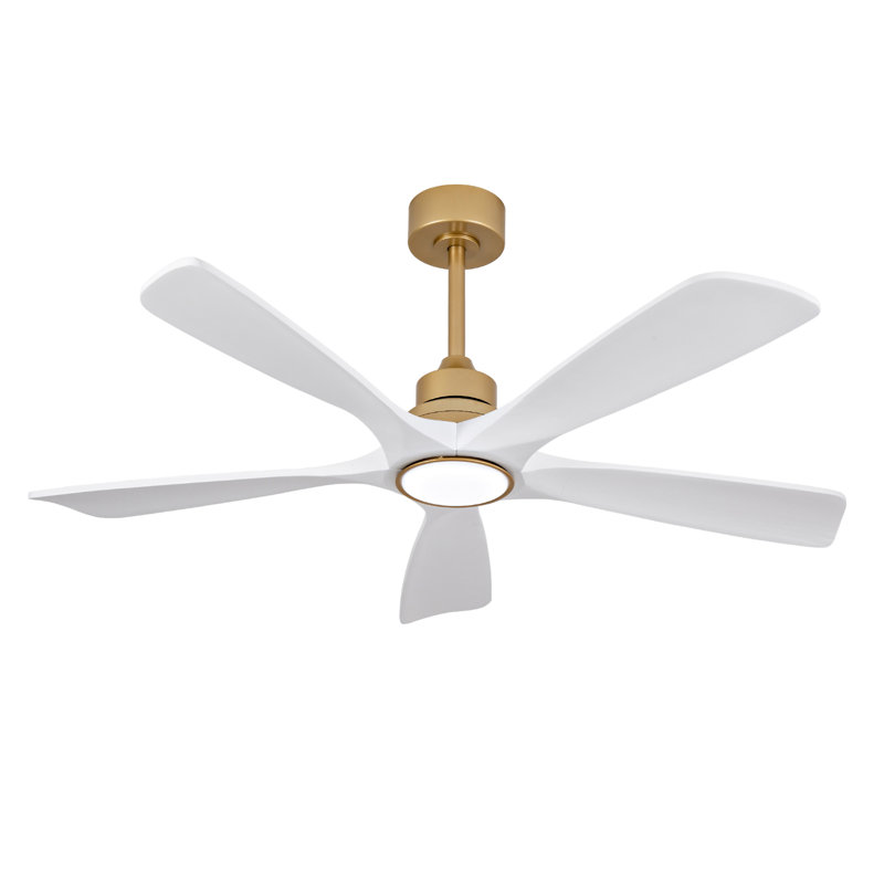Hot Sales 52 Inch Indoor Ceiling Fans With Lights And Remote Control, Gold, White