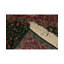 Jahan Wool Oriental Area Rug