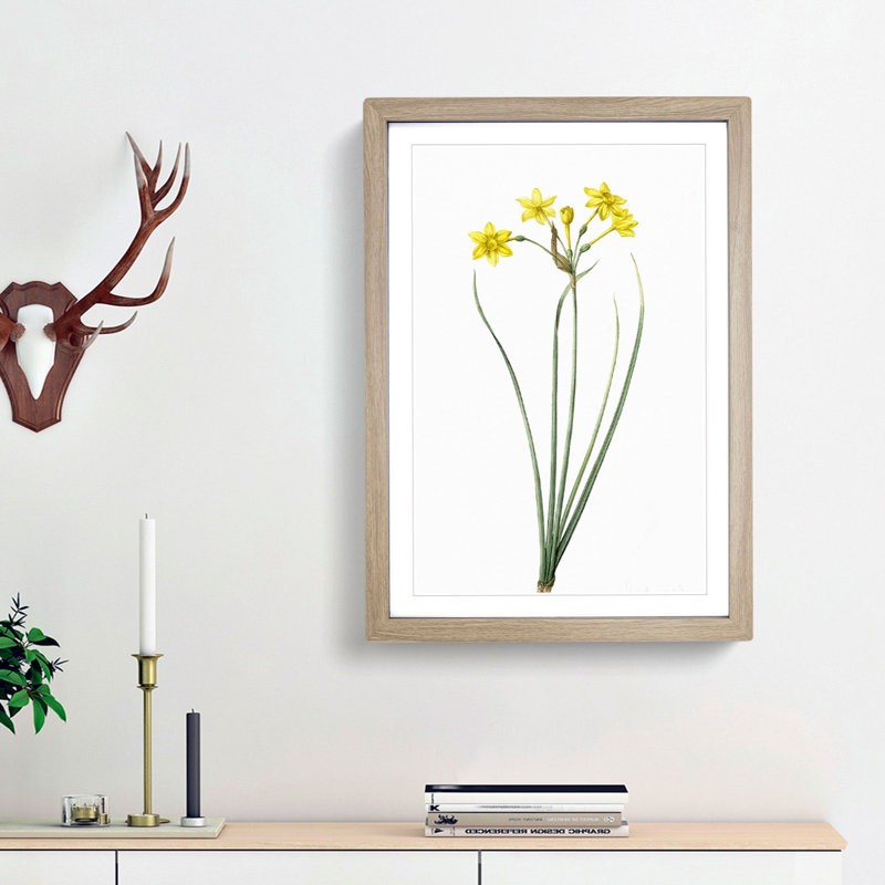 Rush Daffodil Flowers by Pierre-Joseph Redoute - Picture Frame Painting Print, Oak Framed, 36cm H x 27cm W x 2cm D