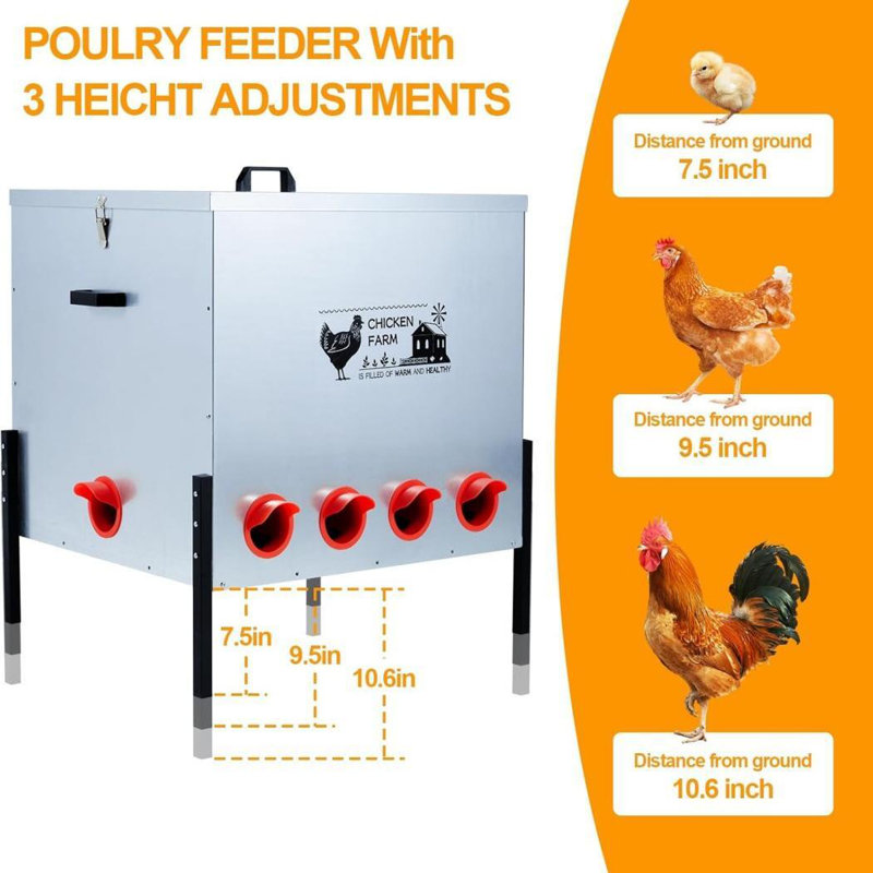 Boîte à nourriture automatique pour poulets