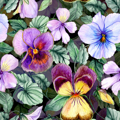 Windber Beautiful Large Vivid Viola - Wrapped Canvas Print