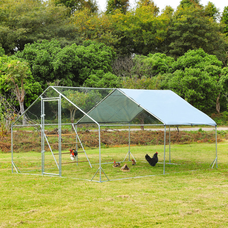Parcours à poules avec grillage de 130 pi² Comari