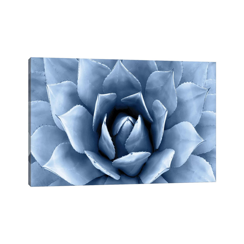 Indigo Succulent II by Mia Jensen - Wrapped Canvas Print, 101.6 cm H x 66.04 cm W x 1.91 cm D