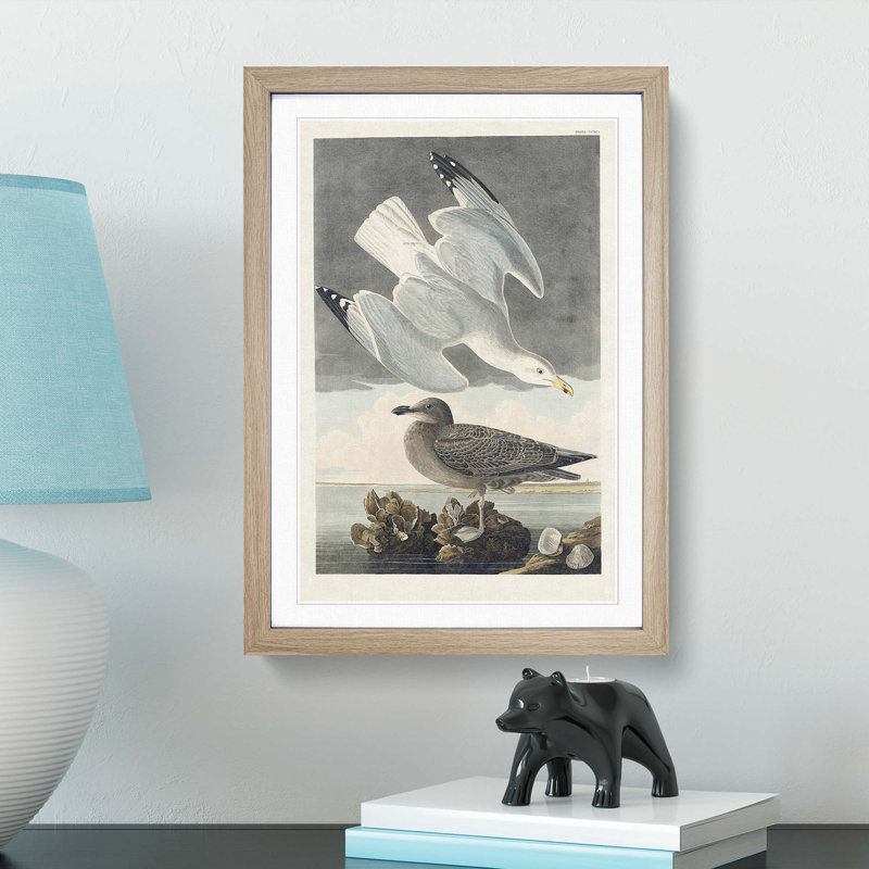 Herring Gulls by John Audubon - Picture Frame Painting Print, 65cm H x 48cm W x 2cm D, Oak Framed