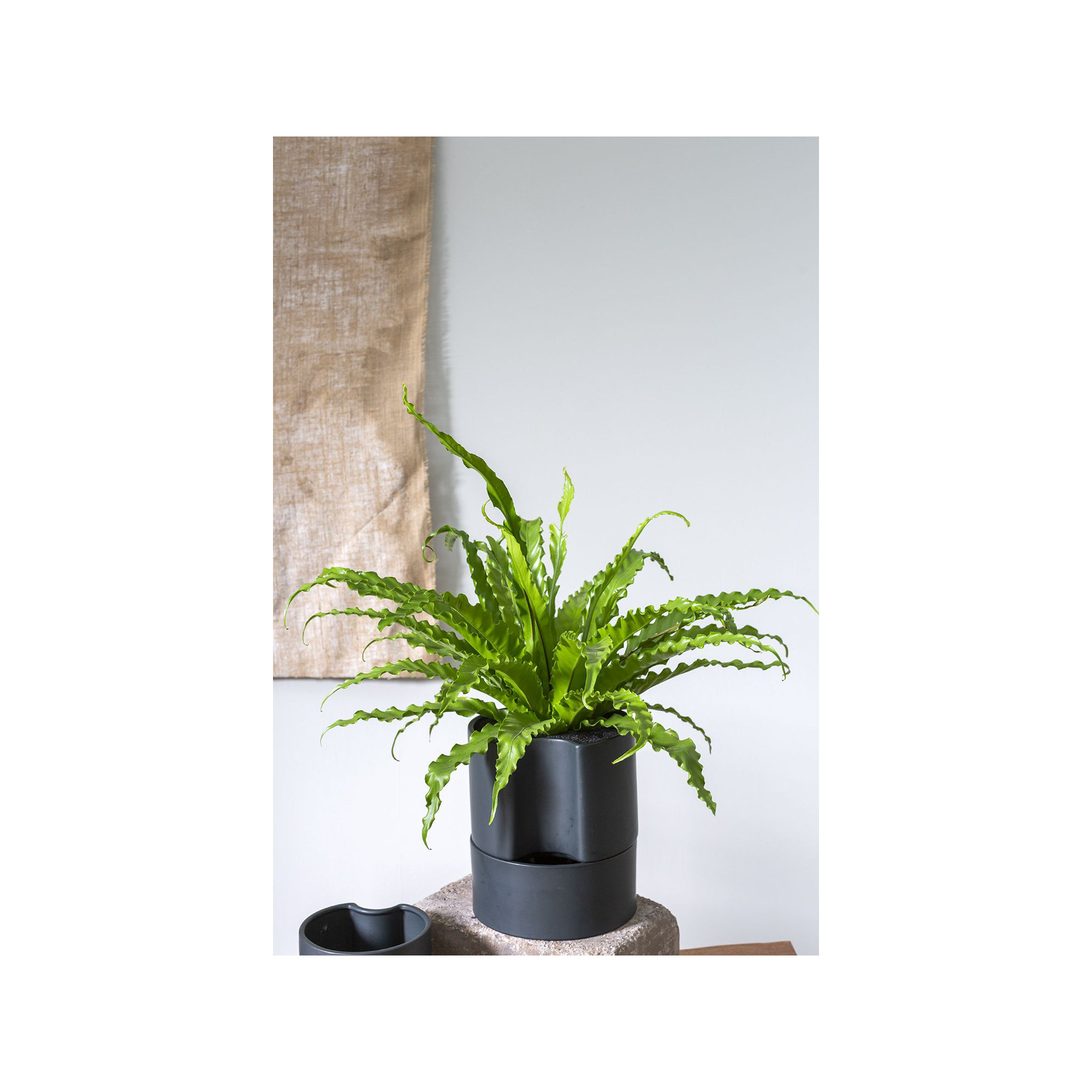 Patti Handmade Ceramic Pot Planter, Black, 9" H x 8" W x 8" D