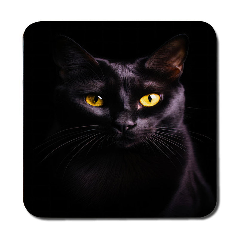 Cat Art Placemat And Coaster Set Of 12 With Wood Bottom