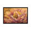 «Floral in Bloom I», reproduction sur toile-29437426-73574592-73574593