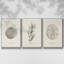 Shore Treasure Study I 3 pièces-97711596-97711600