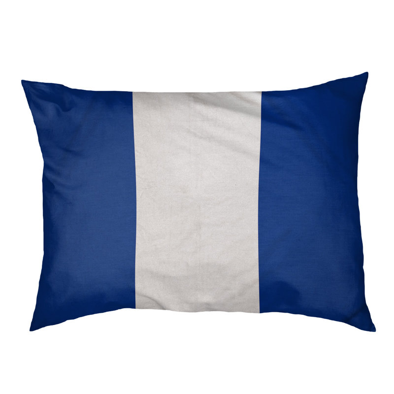 Coussin de lit pour chien Cincinnati, Grand (l 50 po x P 40 po x H 7 po), Bleu / blanc