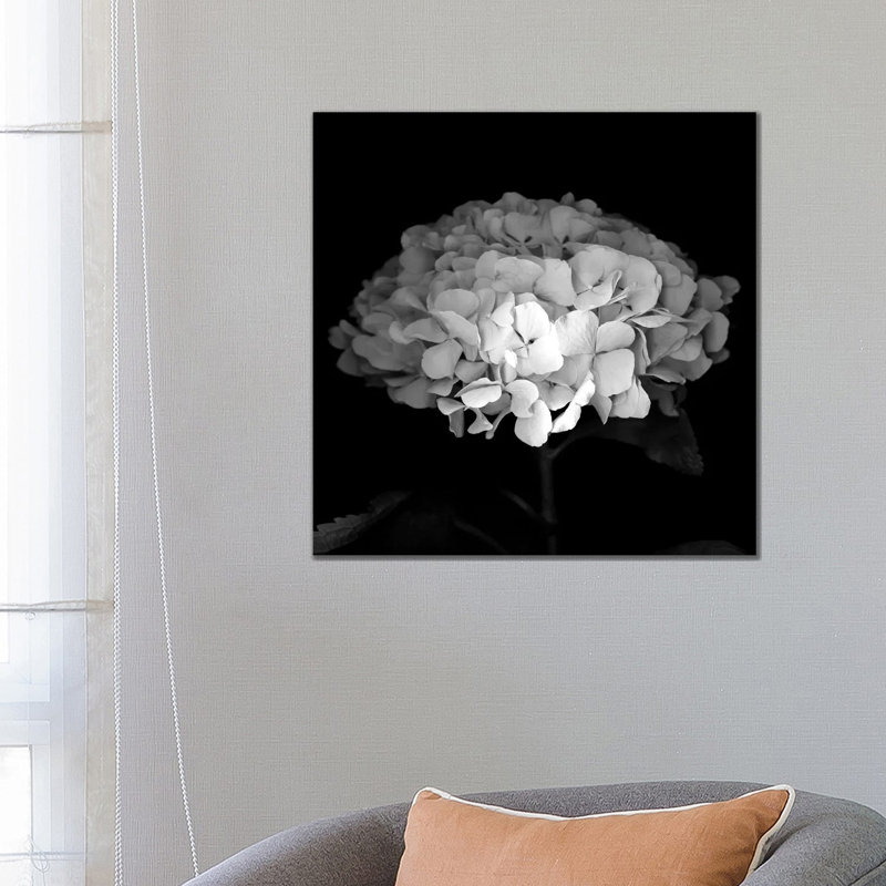 Hydrangea VI by Magda Indigo - Wrapped Canvas Print, 66.04 cm H x 66.04 cm W