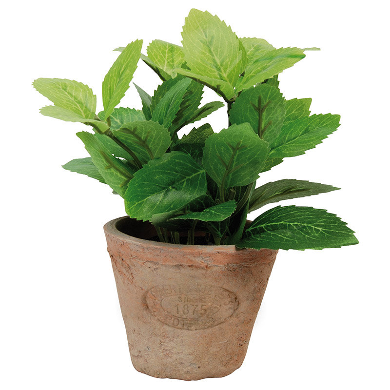 Cachepot