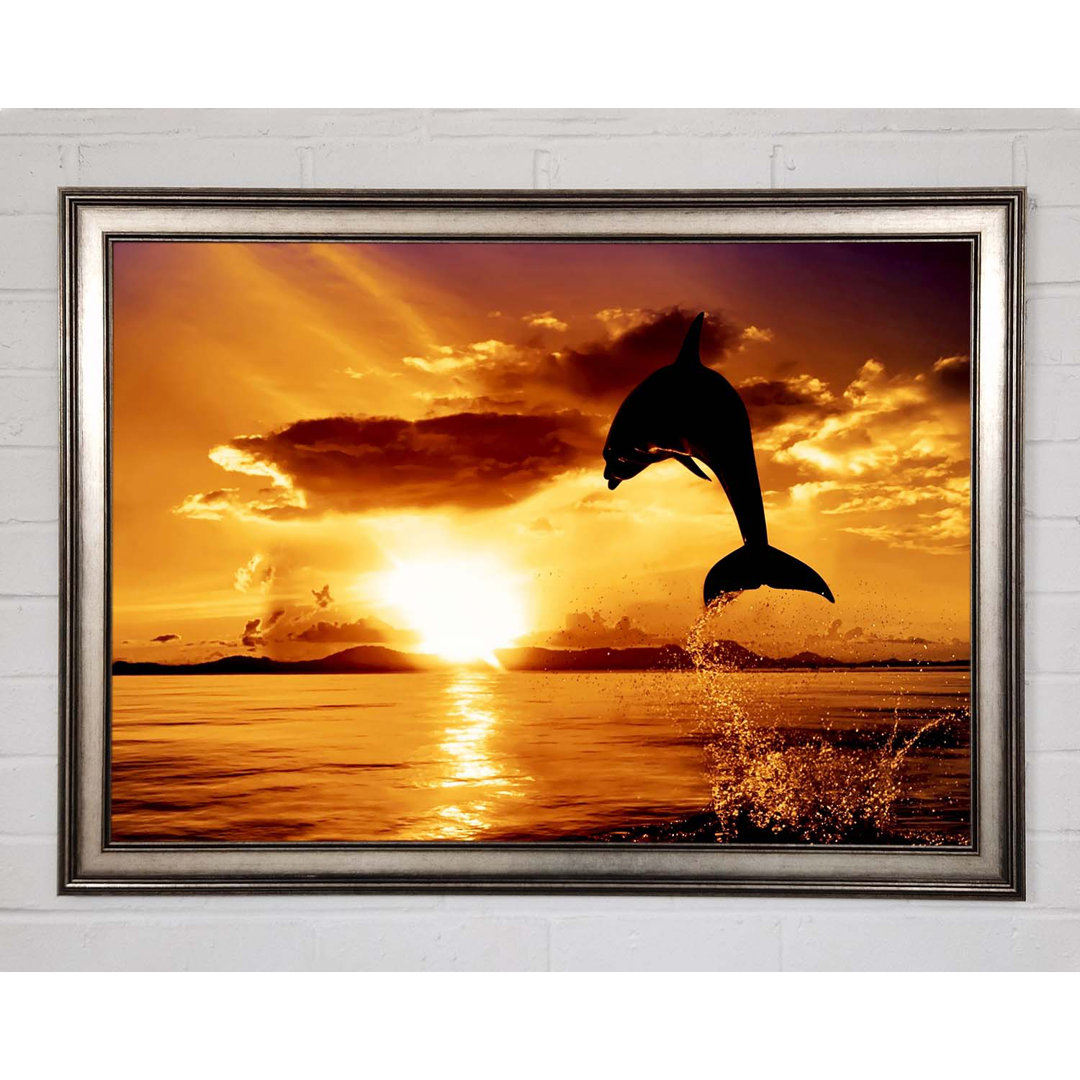 Gerahmtes Bild Dolphin Sunset