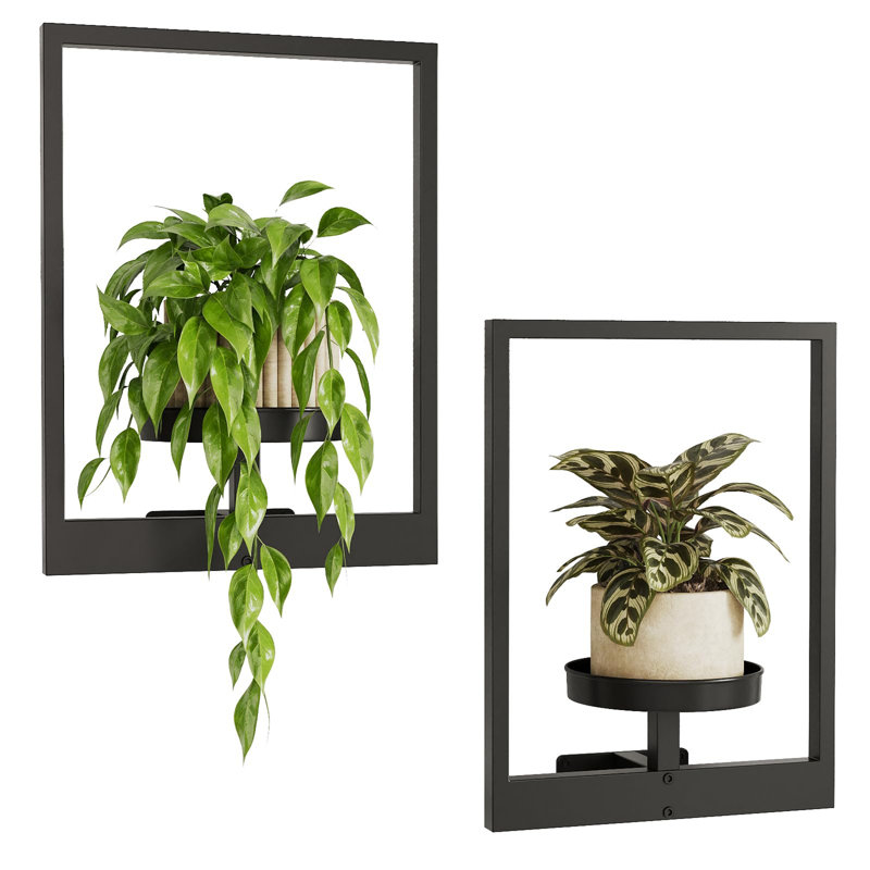 Plant Stand - Set of 2