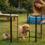 Parc pour chien 32 panneaux de 32 po de hauteur