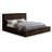 Dexter Corduroy Fabric Bed-108676163-108676167