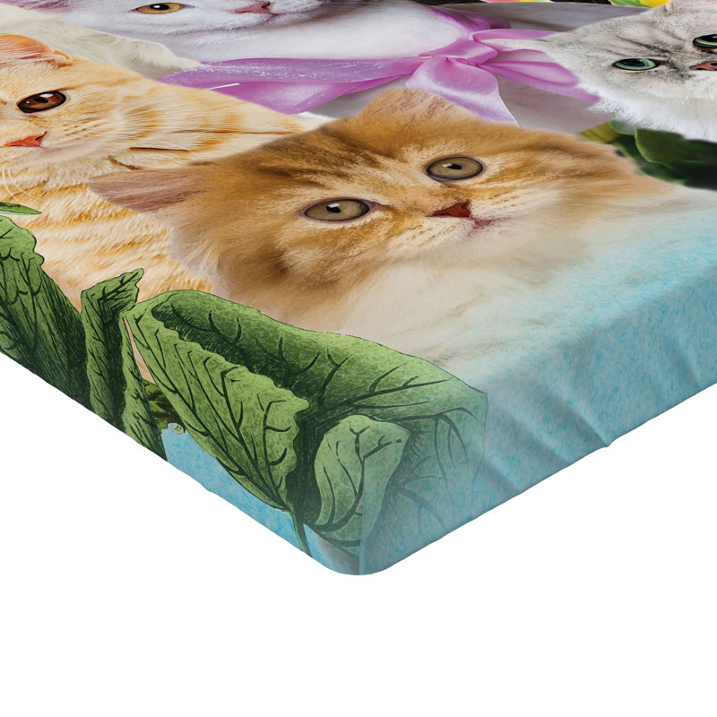 Multicolore Ambesonne, Drap-housse de taille simple