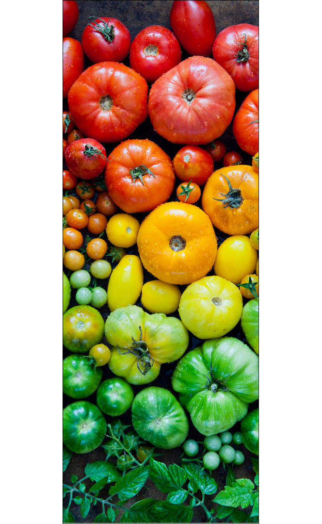 Colorful Tomatoes – Druck ohne Rahmen auf Floatglas